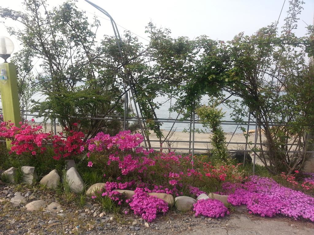 Yongdu Beach Pension Boryeong Exterior photo